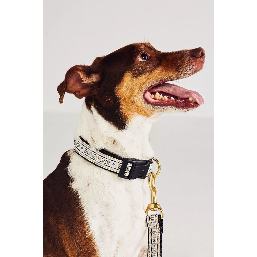 Anthropologie The Bistro Tile Dog Collar Sz M BONE JOUR NWT